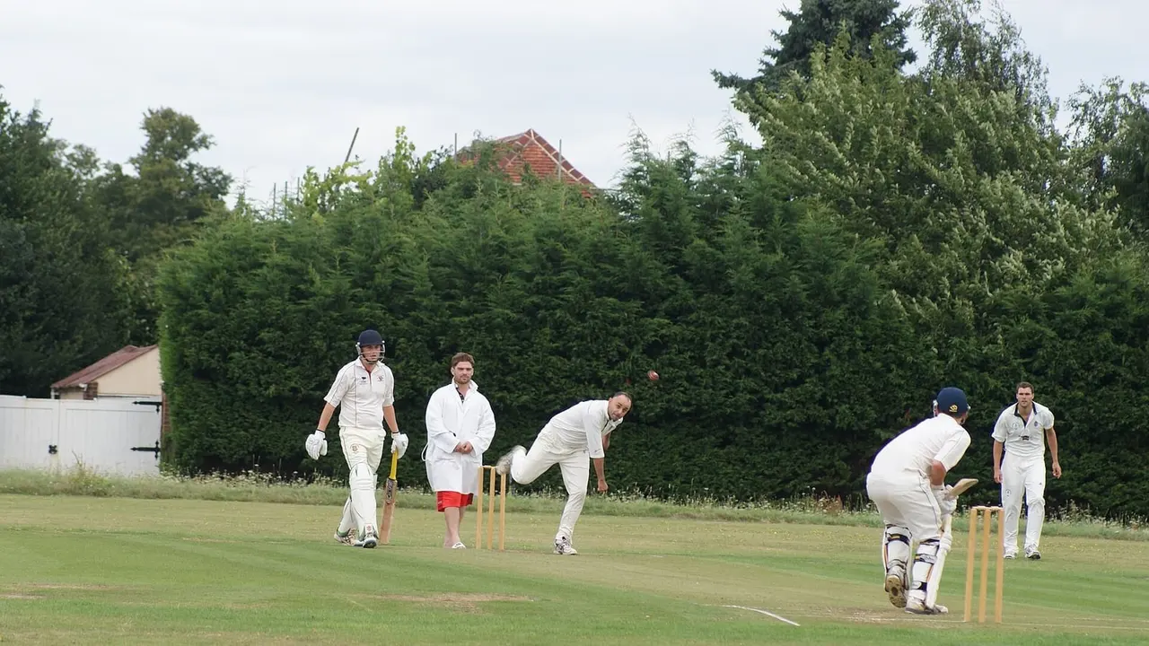 A cricket match, general view