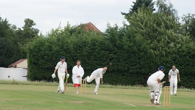 A cricket match, general view