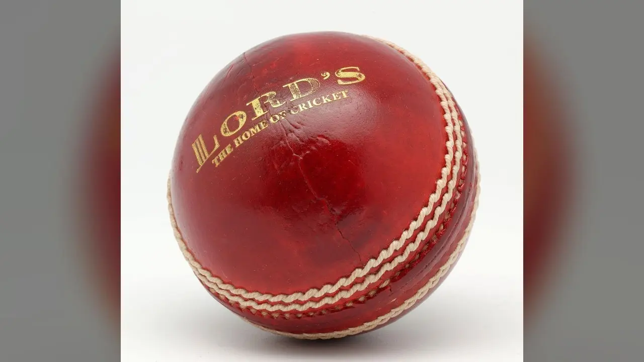 A cricket match, general view