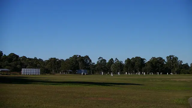 A cricket match, general view