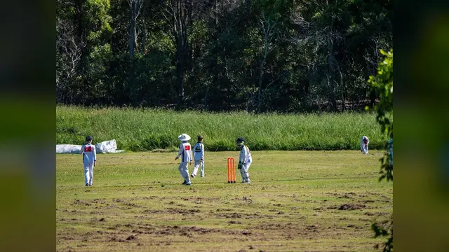 A cricket match, general view