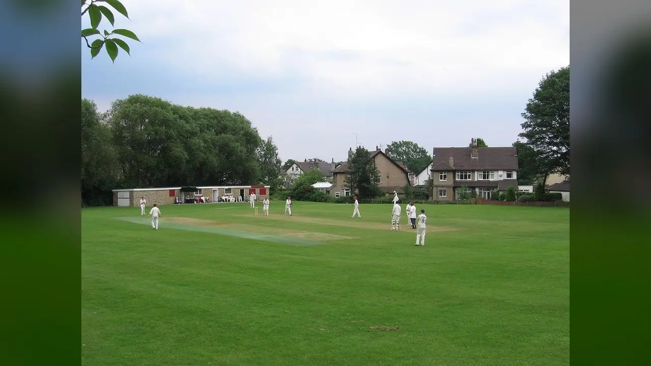 A cricket match, general view