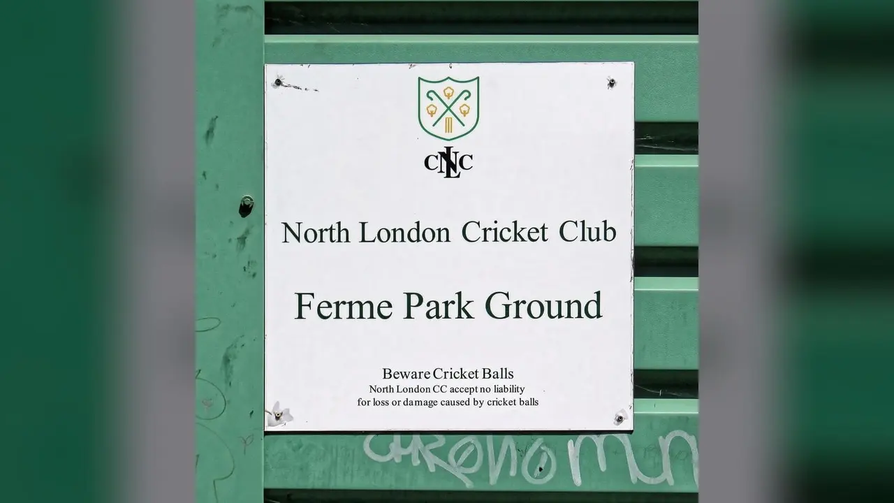 A cricket match, general view
