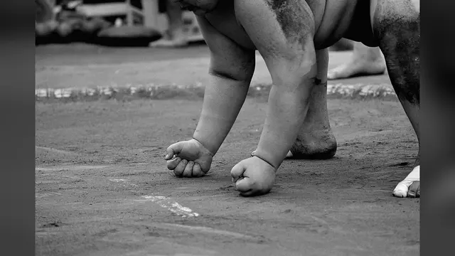 Wrestling, general photo
